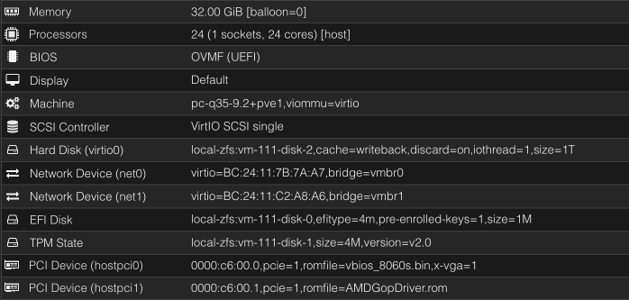8060s GPU Passthrough in Proxmox